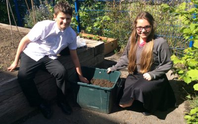 Wellbeing Gardens Flourish