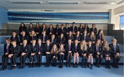 Primary Link Mentors