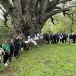 Forest school