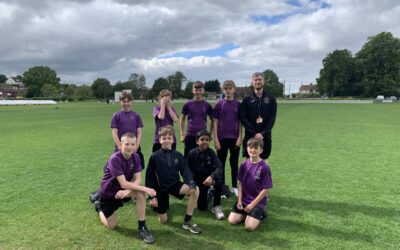 Year 7 Cricket Tournament
