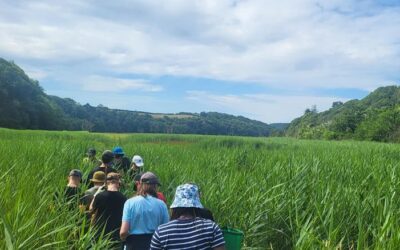 Mission to Re-Wild Our Students
